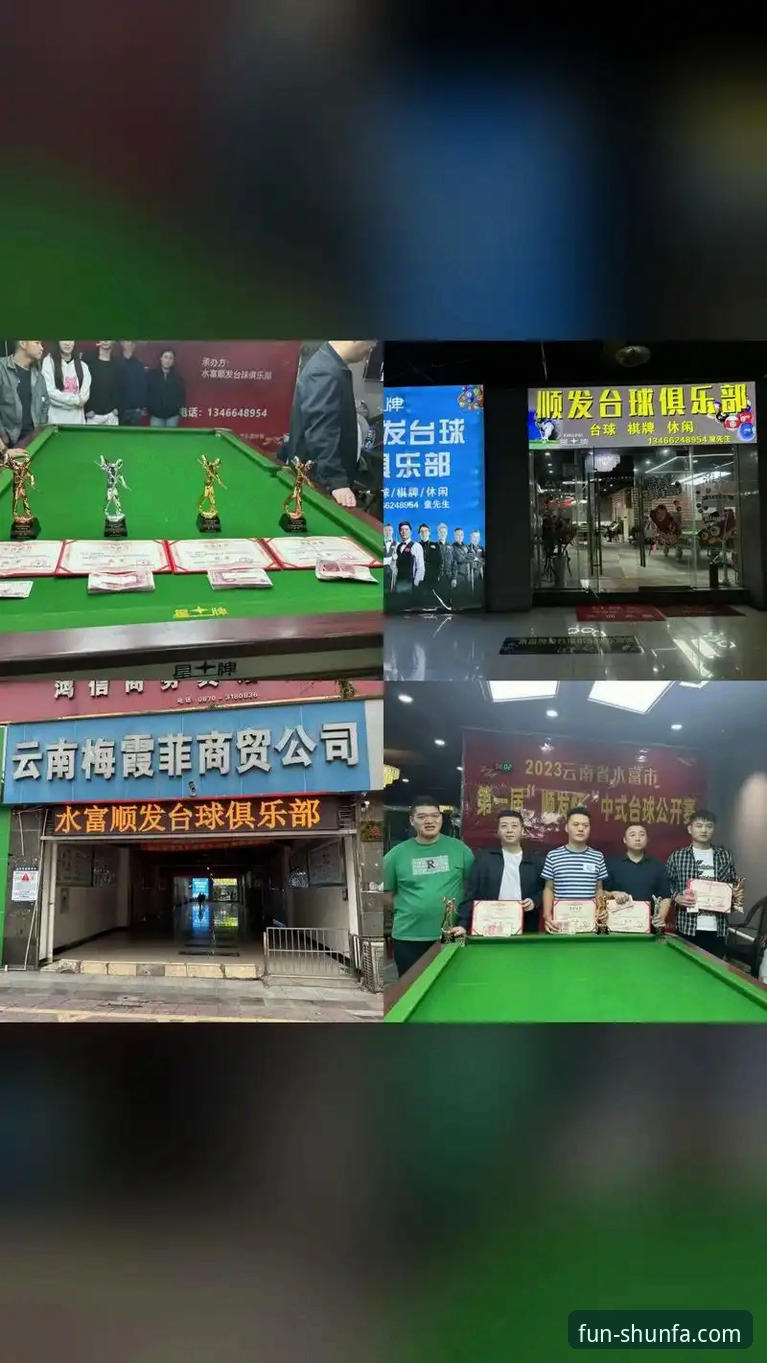 顺发娱乐公正透明安装教程 顺发娱乐平台公正透明机制深度分析:从安装到体验的全流程解析